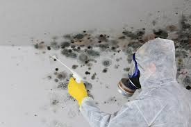 Best Water Damage & Mold Remediation  in Nanuet, NY